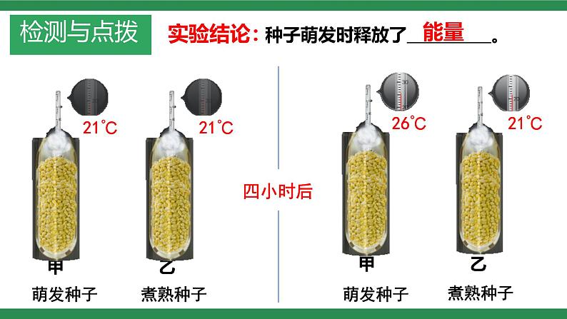 第三节 呼吸作用 课件第6页