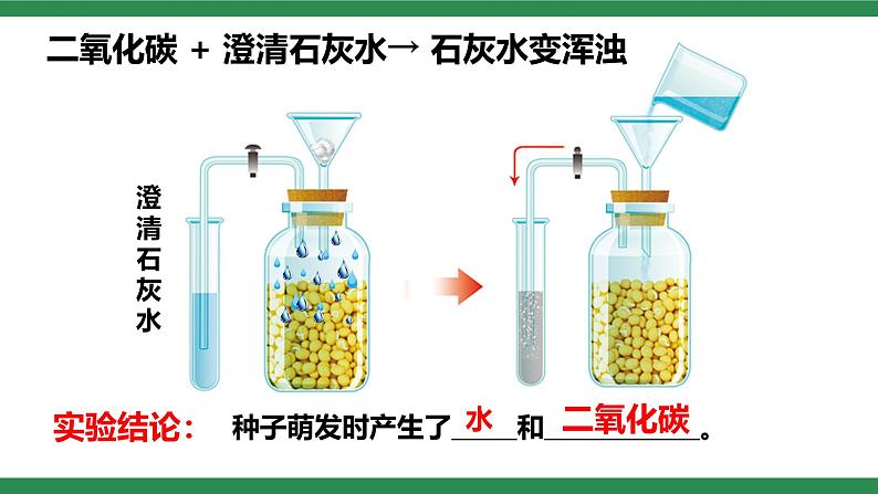 第三节 呼吸作用 课件第8页