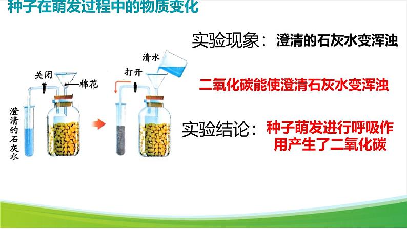 第三节 呼吸作用 课件第3页