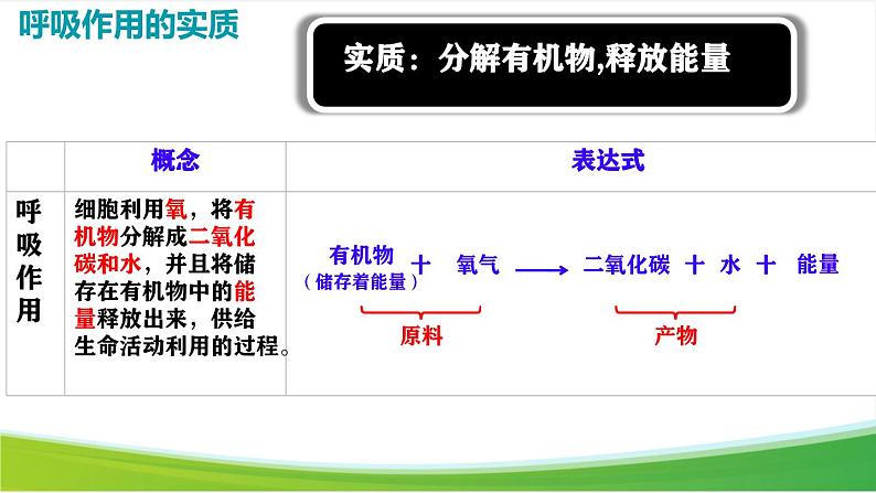 第三节 呼吸作用 课件第5页