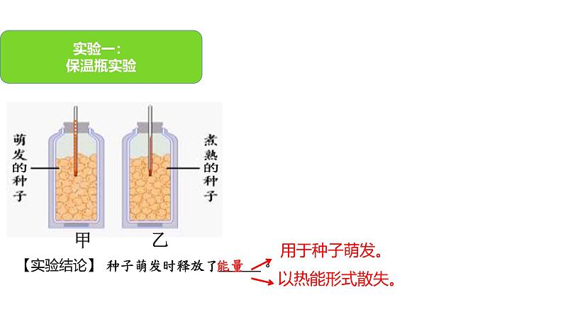 第三节 呼吸作用 课件第3页