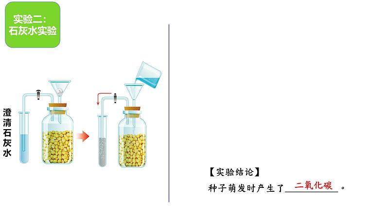 第三节 呼吸作用 课件第5页