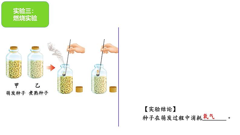 第三节 呼吸作用 课件第6页