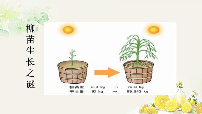 第二节 光合作用 课件第3页