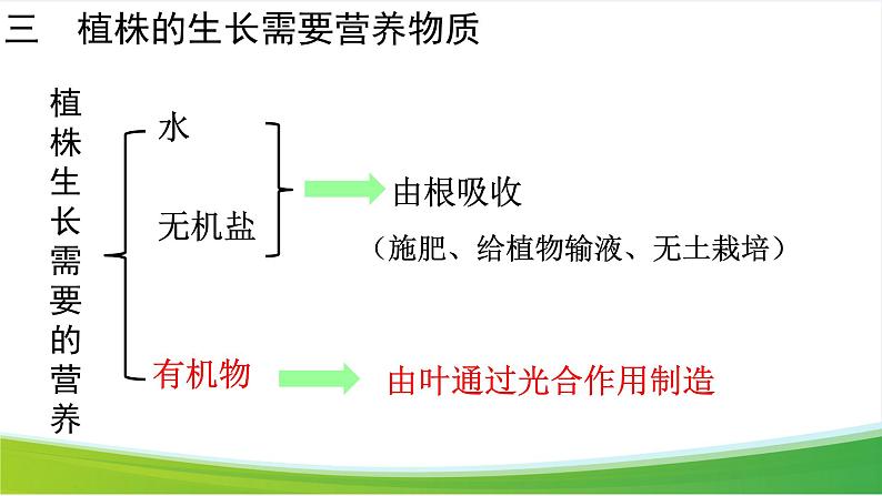 第二节 光合作用 课件第2页