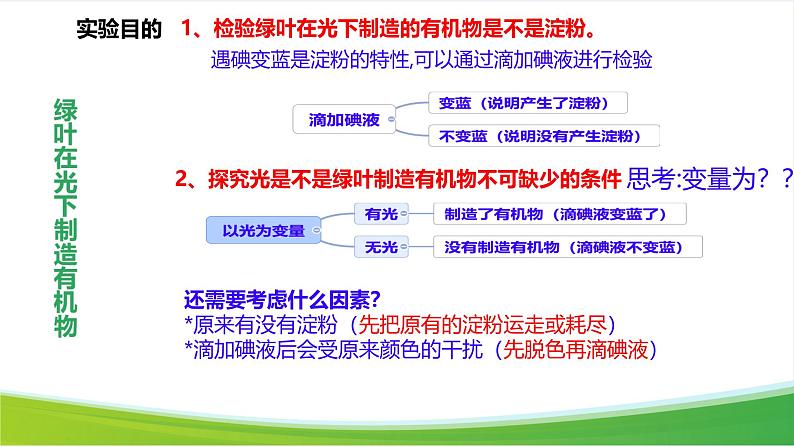 第二节 光合作用 课件第3页