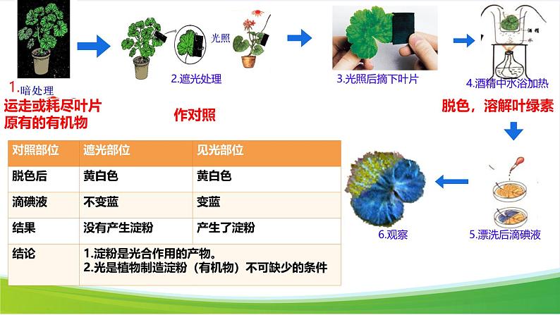 第二节 光合作用 课件第4页