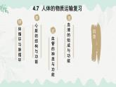 第7章 人體的物質(zhì)運(yùn)輸（復(fù)習(xí)課件）-2024-2025學(xué)年七年級(jí)生物下冊(cè)（北師大版2024）