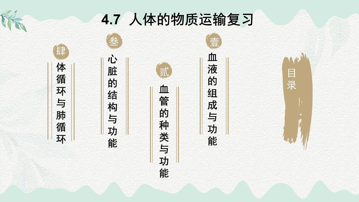 第7章 人体的物质运输（复习课件）-2024-2025学年七年级生物下册（北师大版2024）第1页