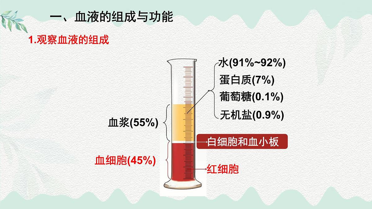 第7章 人体的物质运输（复习课件）-2024-2025学年七年级生物下册（北师大版2024）第2页