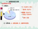 第7章 人體的物質(zhì)運(yùn)輸（復(fù)習(xí)課件）-2024-2025學(xué)年七年級(jí)生物下冊(cè)（北師大版2024）