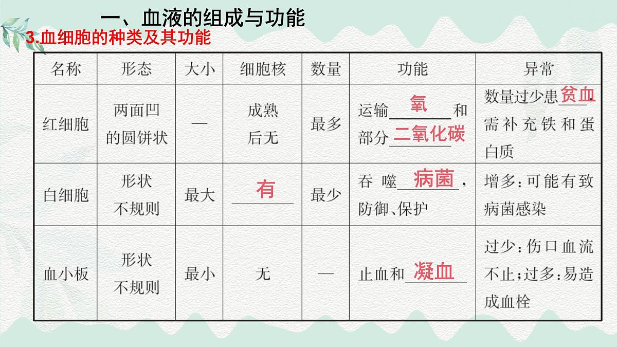 第7章 人体的物质运输（复习课件）-2024-2025学年七年级生物下册（北师大版2024）第4页