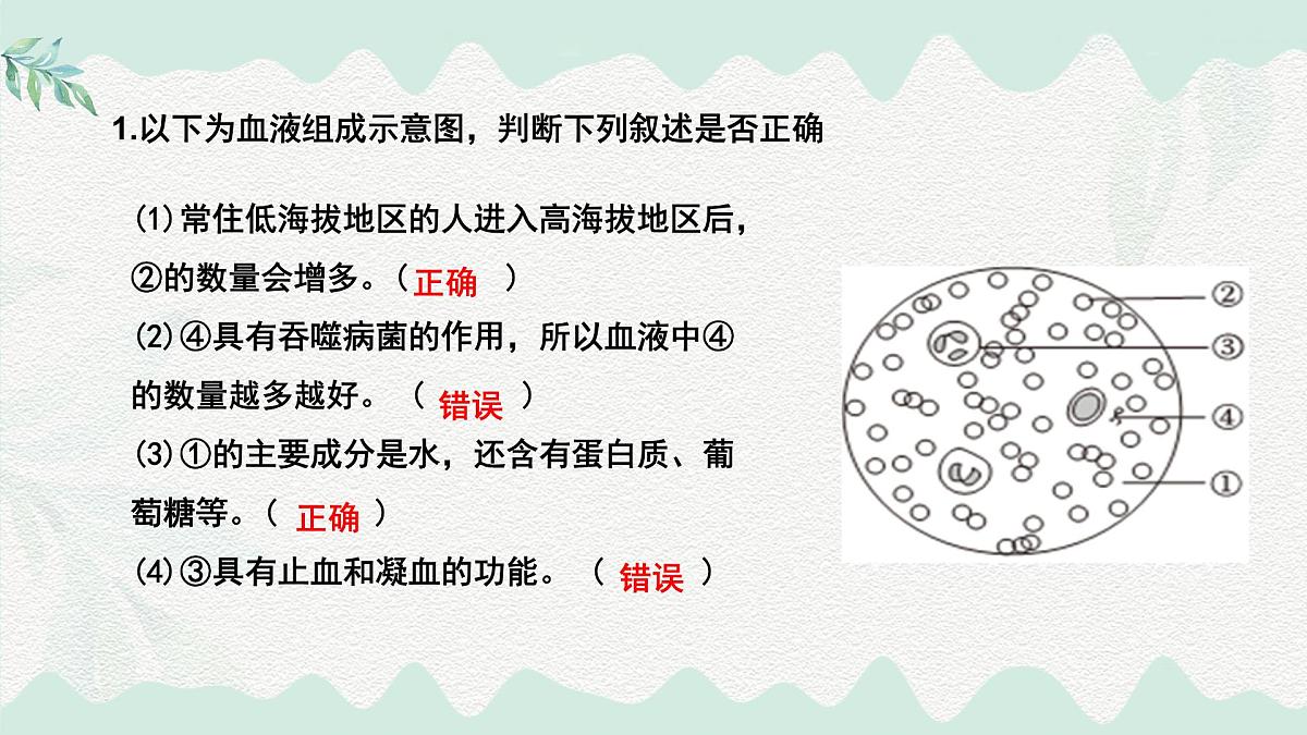 第7章 人体的物质运输（复习课件）-2024-2025学年七年级生物下册（北师大版2024）第7页