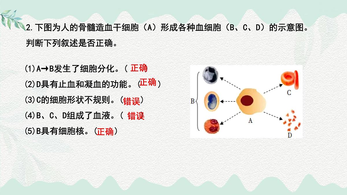 第7章 人体的物质运输（复习课件）-2024-2025学年七年级生物下册（北师大版2024）第8页