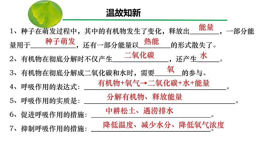3.2.4 植物在生物圈中的作用（课件）-2024-2025学年七年级生物下册（人教版2024）第1页
