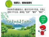 3.2.4 植物在生物圈中的作用（課件）-2024-2025學(xué)年七年級生物下冊（人教版2024）