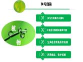 3.2.4 植物在生物圈中的作用（課件）-2024-2025學(xué)年七年級生物下冊（人教版2024）