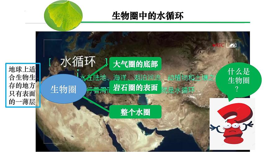 3.2.4 植物在生物圈中的作用（课件）-2024-2025学年七年级生物下册（人教版2024）第7页