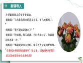 綜合實踐項目 栽培一種植物 探究所需的環(huán)境條件（課件）-2024-2025學年七年級生物下冊（人教版2024）