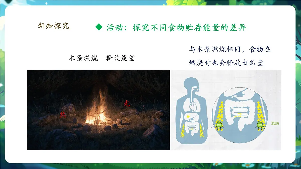 【大单元】北师大版生物七下 4.8.1食物中能量的释放 课件第6页