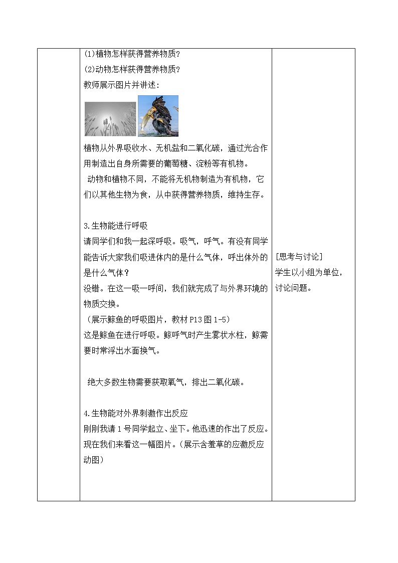 新人教版生物 七上 1-1-2《生物的特征》教案第3页