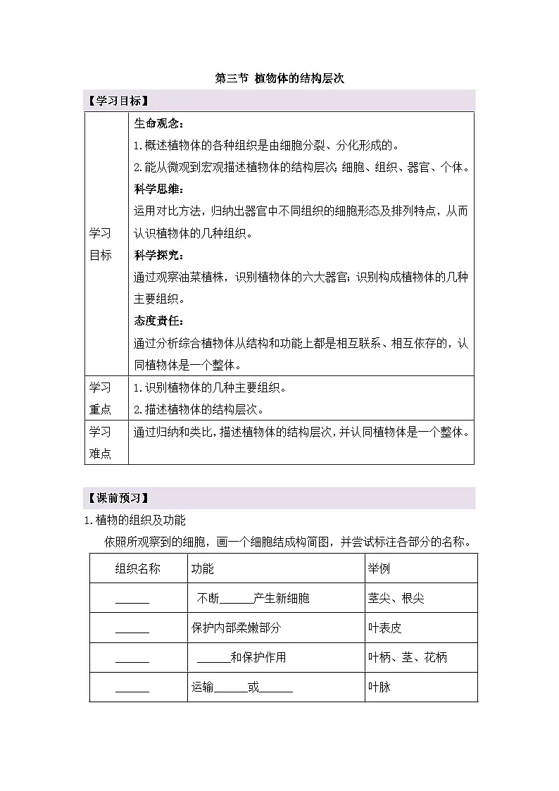 新人教版生物七上 1-3-3《植物体的结构层次》导学案第1页