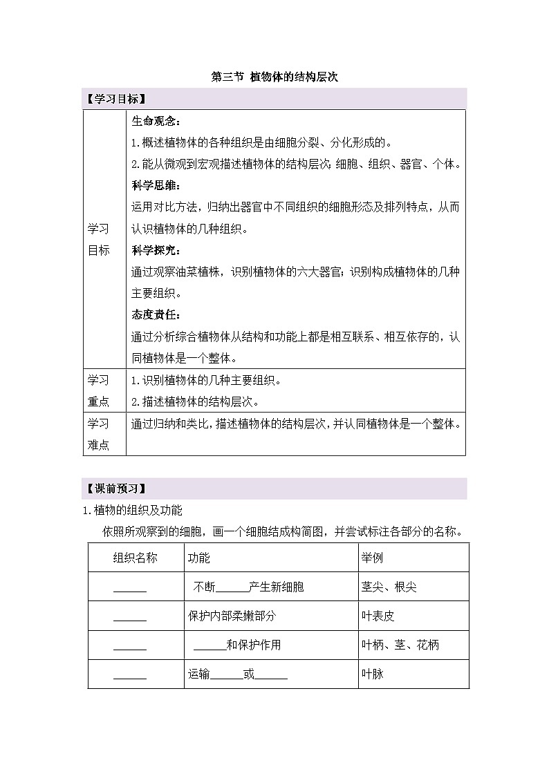新人教版生物七上 1-3-3《植物体的结构层次》导学案第1页