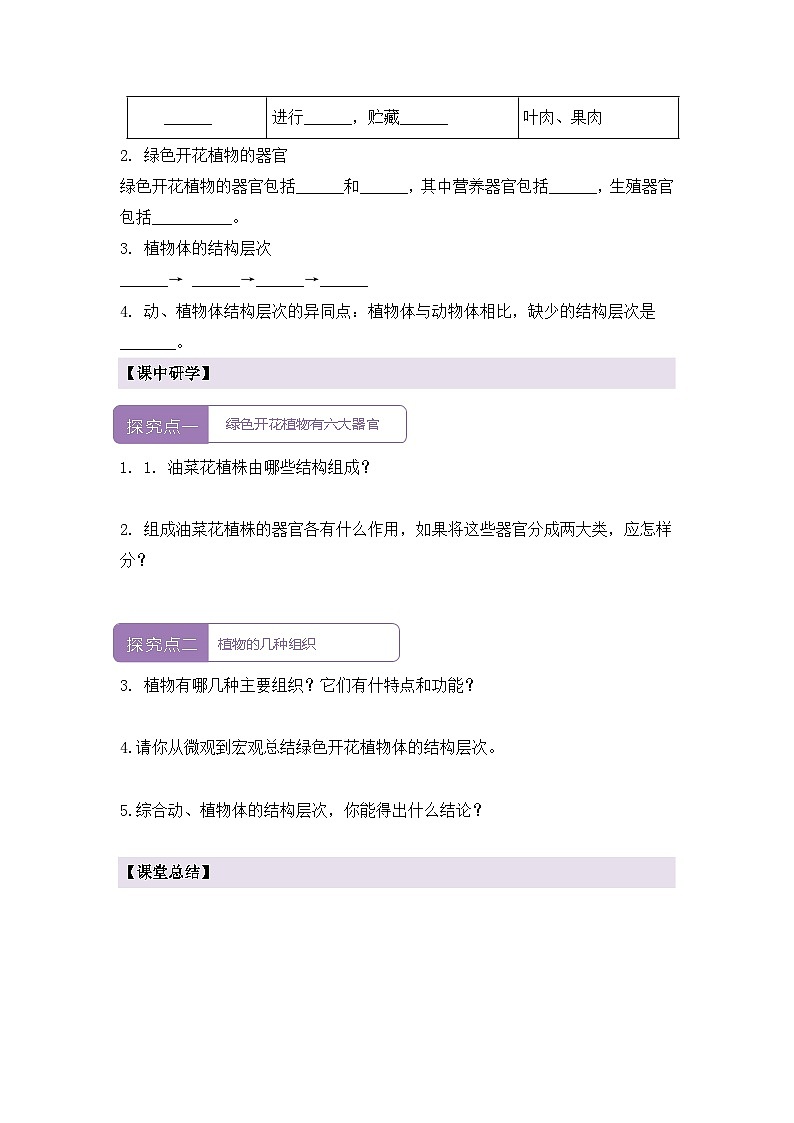 新人教版生物七上 1-3-3《植物体的结构层次》导学案第2页