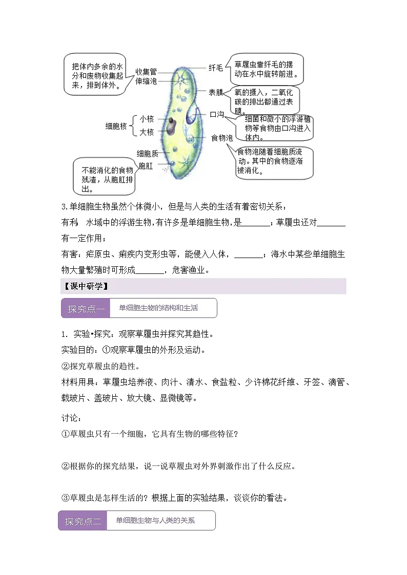 新人教版生物七上 1-3-4《单细胞生物》导学案第2页