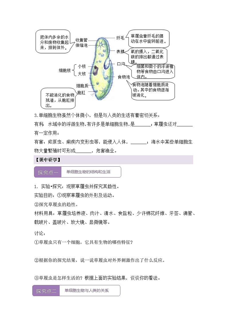 新人教版生物七上 1-3-4《单细胞生物》导学案第2页