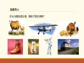 新人教版生物 七上 1-1-2《生物的特征》课件