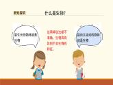 新人教版生物 七上 1-1-2《生物的特征》课件