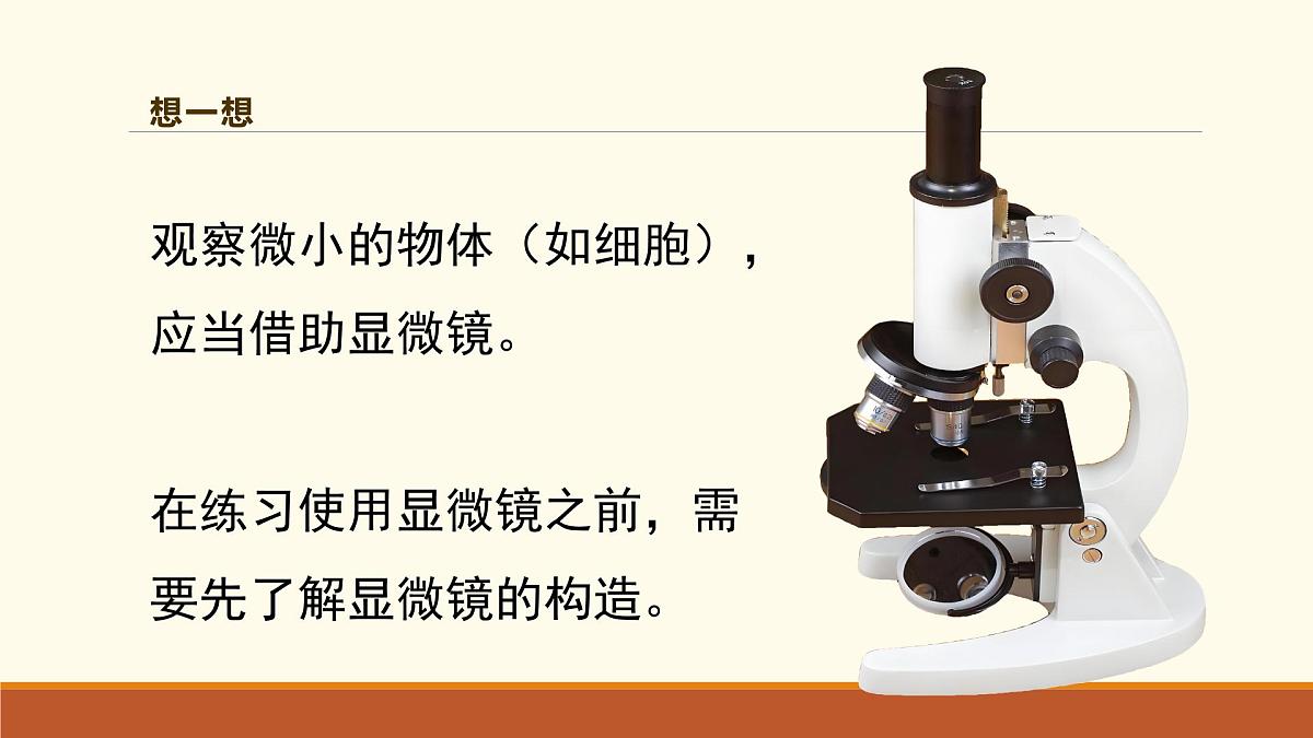 新人教版生物七上 1-2-1《学习使用显微镜（第一课时）》课件第5页