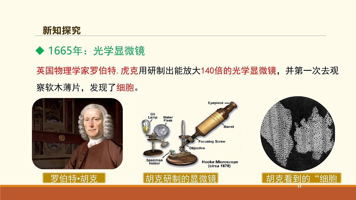新人教版生物七上 1-2-1《学习使用显微镜（第一课时）》课件第7页