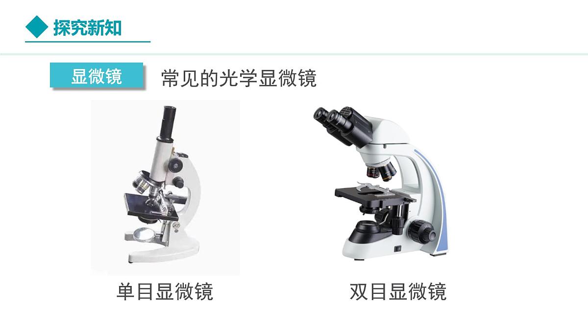 新人教版生物七上 1-2-1《学习使用显微镜》教学课件第3页