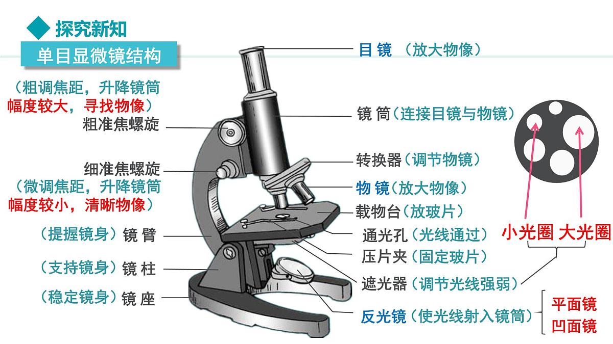 新人教版生物七上 1-2-1《学习使用显微镜》教学课件第4页