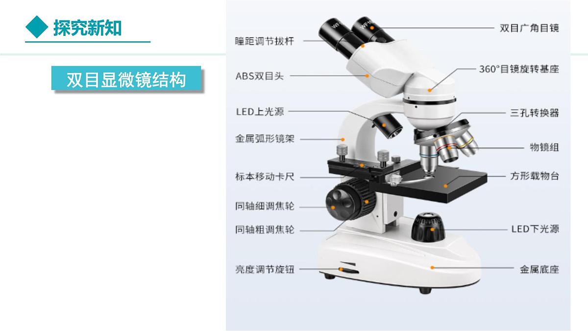 新人教版生物七上 1-2-1《学习使用显微镜》教学课件第6页
