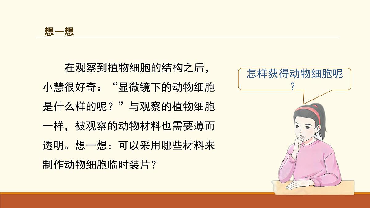 新人教版生物七上 1-2-3《动物细胞（第一课时）》课件第4页