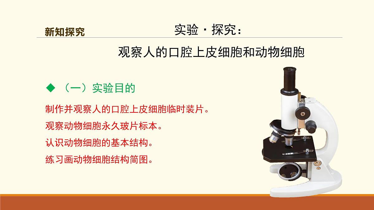新人教版生物七上 1-2-3《动物细胞（第一课时）》课件第6页