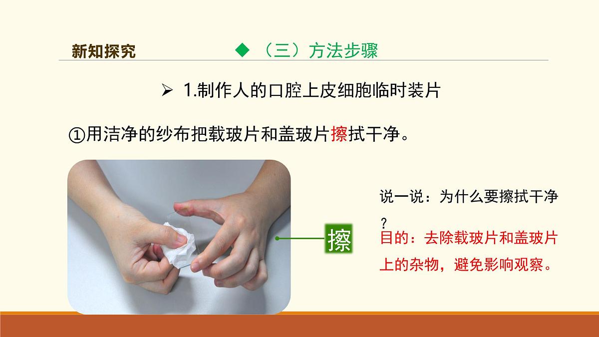 新人教版生物七上 1-2-3《动物细胞（第一课时）》课件第8页