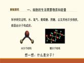 新人教版生物七上 1-2-4《细胞的生活（第一课时）》课件
