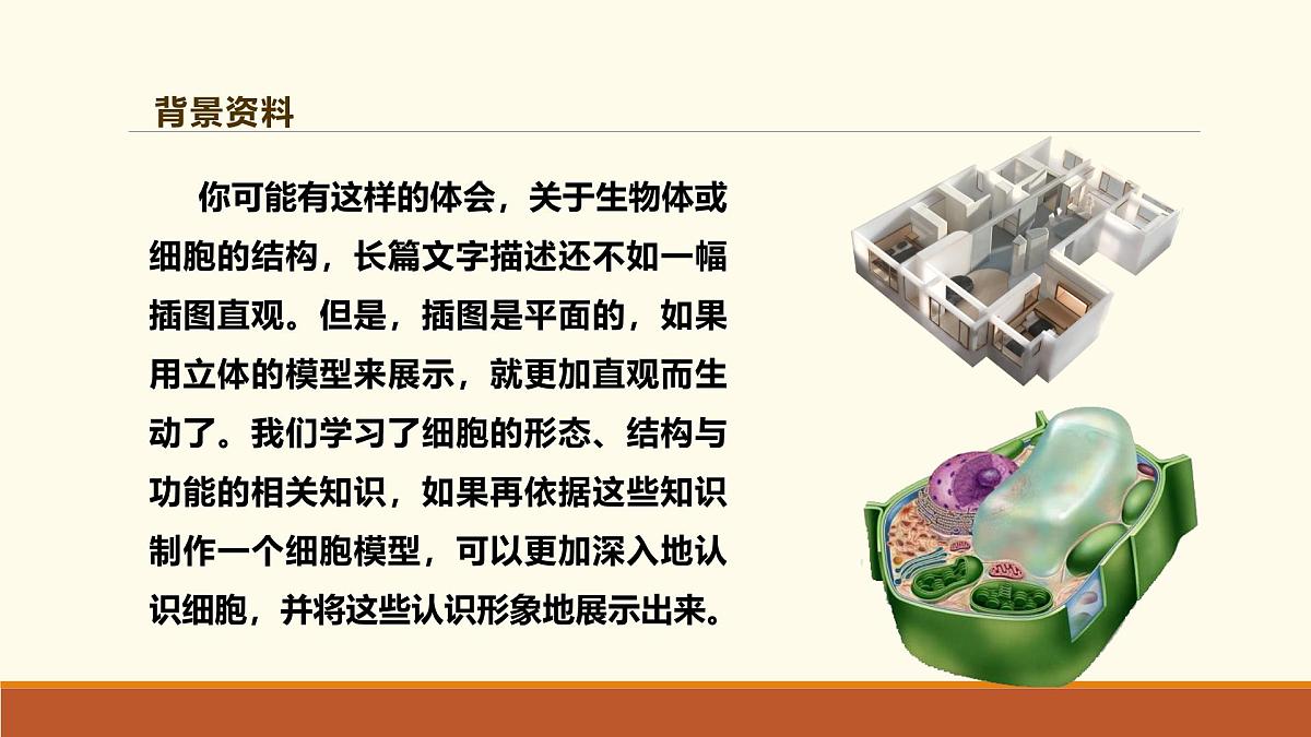 新人教版生物七上 1-3《综合实践项目 制作细胞模型》课件第5页