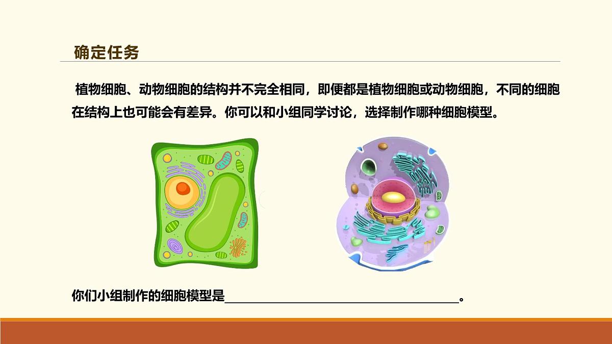 新人教版生物七上 1-3《综合实践项目 制作细胞模型》课件第6页