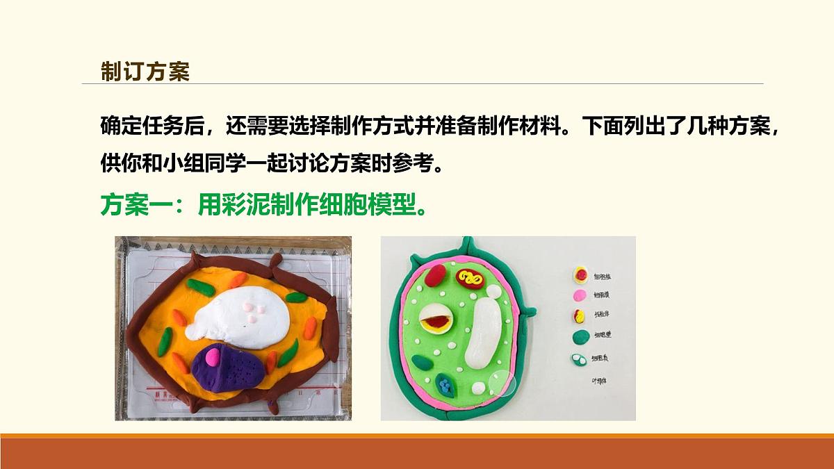 新人教版生物七上 1-3《综合实践项目 制作细胞模型》课件第7页