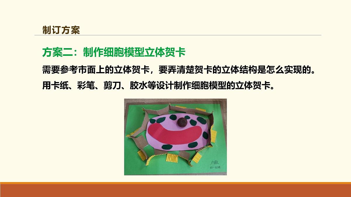 新人教版生物七上 1-3《综合实践项目 制作细胞模型》课件第8页