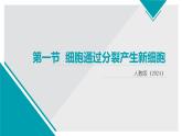 新人教版生物七上 1-3-1《细胞通过分裂产生新细胞》教学课件