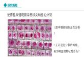 新人教版生物七上 1-3-1《细胞通过分裂产生新细胞》教学课件