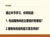 新人教版生物七上 1-3-2《植物体的结构层次》课件