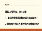 新人教版生物七上 1-3-4《单细胞生物》课件
