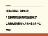新人教版生物七上 2-1-1《藻类、苔藓和蕨类（第二课时）》课件